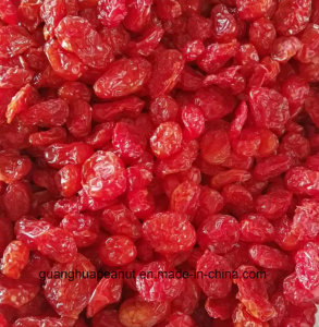 Best Quality Dired Tomato Cherry